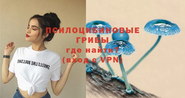 скорость Горняк