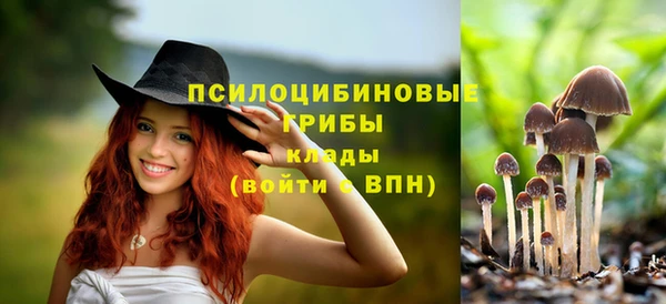 бошки Коряжма